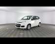 Fiat Panda 1.0 FireFly Hybrid Bianco - thumbnail 2