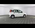 Fiat Panda 1.0 FireFly Hybrid Bianco - thumbnail 9