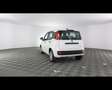 Fiat Panda 1.0 FireFly Hybrid Bianco - thumbnail 13