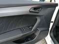 CUPRA Formentor 2,0 TDI, original Cupra Felgen, LED, Rückfahrk. Weiß - thumbnail 24