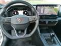 CUPRA Formentor 2,0 TDI, original Cupra Felgen, LED, Rückfahrk. Weiß - thumbnail 14