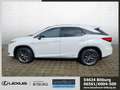 Lexus RX 450h RX 450 h F-Sport Panorama 4x4/AHK/LED/KlimaA/ACC White - thumbnail 2