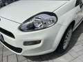 Fiat Punto Punto 3p 1.2 Easy - SOLI 14.000 KM - UNIPRO Weiß - thumbnail 19