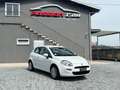 Fiat Punto Punto 3p 1.2 Easy - SOLI 14.000 KM - UNIPRO Bianco - thumbnail 1