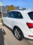 Audi Q5 2.0 tdi Advanced Plus quattro 190cv s-tronic - thumbnail 4