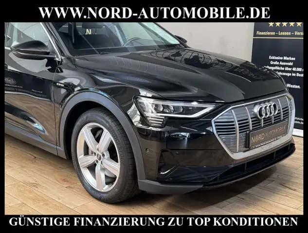 Audi E-Tron view 13