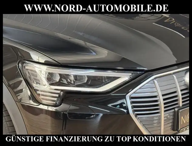 Audi E-Tron view 14