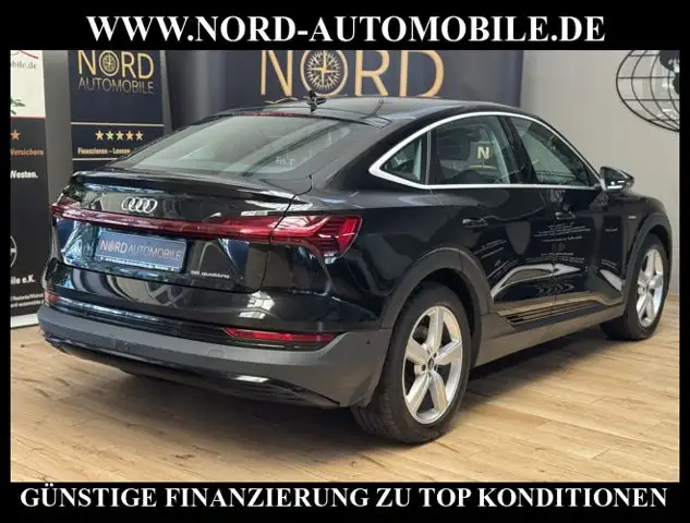 Audi E-Tron view 12