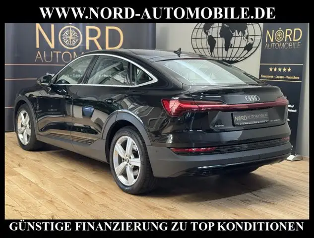 Audi E-Tron view 10