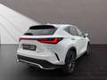 Lexus NX 350h F-Sport*4x4*PANO*360°KAM*HUD*15J.GAR.* Weiß - thumbnail 5