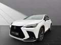 Lexus NX 350h F-Sport*4x4*PANO*360°KAM*HUD*15J.GAR.* Weiß - thumbnail 1