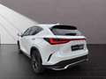 Lexus NX 350h F-Sport*4x4*PANO*360°KAM*HUD*15J.GAR.* Weiß - thumbnail 3