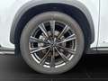Lexus NX 350h F-Sport*4x4*PANO*360°KAM*HUD*15J.GAR.* Weiß - thumbnail 20