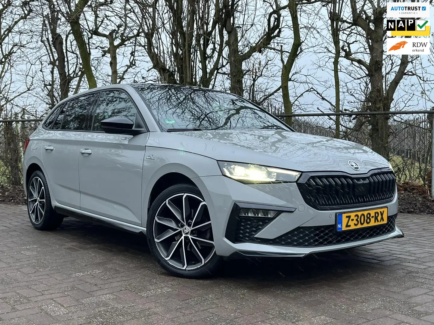 Skoda Scala 1.0 TSI Monte Carlo Full Option! Grau - 1