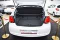 Volkswagen Polo V Style*AUTOMATIK*SITZH*CARPLAY*GARANTIE*5T Wit - thumbnail 8