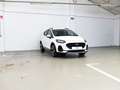 Ford Fiesta 1.0 ECOBOOST MHEV 92KW ACTIVE 125 5P Bianco - thumbnail 1