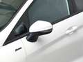 Ford Fiesta 1.0 ECOBOOST MHEV 92KW ACTIVE 125 5P Bianco - thumbnail 13