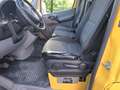 Mercedes-Benz Sprinter Zwillingsräde 516 CDI Klima AHK 3,5t - thumbnail 12