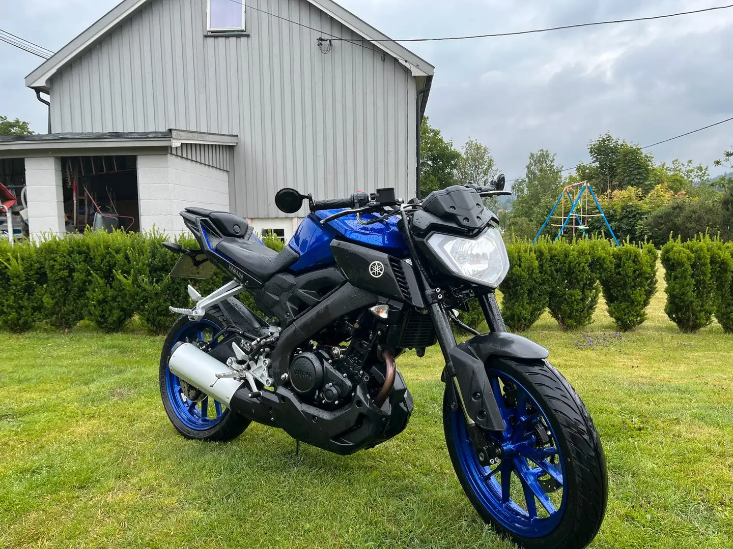 Yamaha MT-125 Blau - 2
