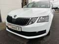 Skoda Octavia Combi 1.0 TSI *AHK*TEMPOMAT*KLIMA*LICHT/REGENSENS Blanco - thumbnail 7
