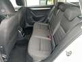 Skoda Octavia Combi 1.0 TSI *AHK*TEMPOMAT*KLIMA*LICHT/REGENSENS Blanco - thumbnail 13