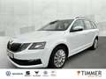 Skoda Octavia Combi 1.0 TSI *AHK*TEMPOMAT*KLIMA*LICHT/REGENSENS Blanco - thumbnail 1
