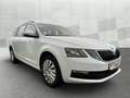 Skoda Octavia Combi 1.0 TSI *AHK*TEMPOMAT*KLIMA*LICHT/REGENSENS Blanco - thumbnail 3