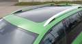 Skoda Octavia Octavia Combi 2.0 TDI (Green tec) DSG RS Verde - thumbnail 11