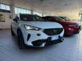 CUPRA Formentor Formentor 2020 2.0 tdi 4drive 150cv dsg Weiß - thumbnail 3