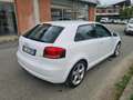 Audi A3 A3 1.6 tdi S-line Ambiente s-tronic Weiß - thumbnail 5