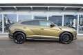 Lamborghini Urus URUS CARBON*PANO*B&O*CAPRISTO*23"*GARANTIE 08/26 Vert - thumbnail 24