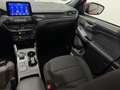 Ford Kuga 2.5 Duratec PHEV 225cv FWD Auto ST-Line Rojo - thumbnail 31