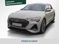 Audi e-tron 55 S Line quattro 300kW B&O LED Nav RüKa Beige - thumbnail 1