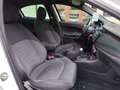 Alfa Romeo Giulietta Giulietta 1.6 JTDm 120CV Super PERFETTA Blanc - thumbnail 27