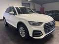 Audi Q5 35 TDI **Virtual+Winter** Weiß - thumbnail 5