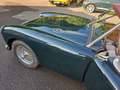 MG MGA 1.5 1958 Grün - thumbnail 5