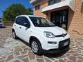 Fiat Panda 1.0 FireFly S&S Hybrid Blanco - thumbnail 3
