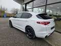 Alfa Romeo Stelvio Stelvio 2020 2.2 t Veloce Q4 210cv auto Blanc - thumbnail 5