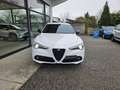 Alfa Romeo Stelvio Stelvio 2020 2.2 t Veloce Q4 210cv auto Bianco - thumbnail 2