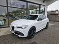Alfa Romeo Stelvio Stelvio 2020 2.2 t Veloce Q4 210cv auto Bianco - thumbnail 1
