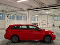 Fiat Tipo 1000 100CV ""Tipo"" SW ***Km. Zero*** Rosso - thumbnail 15