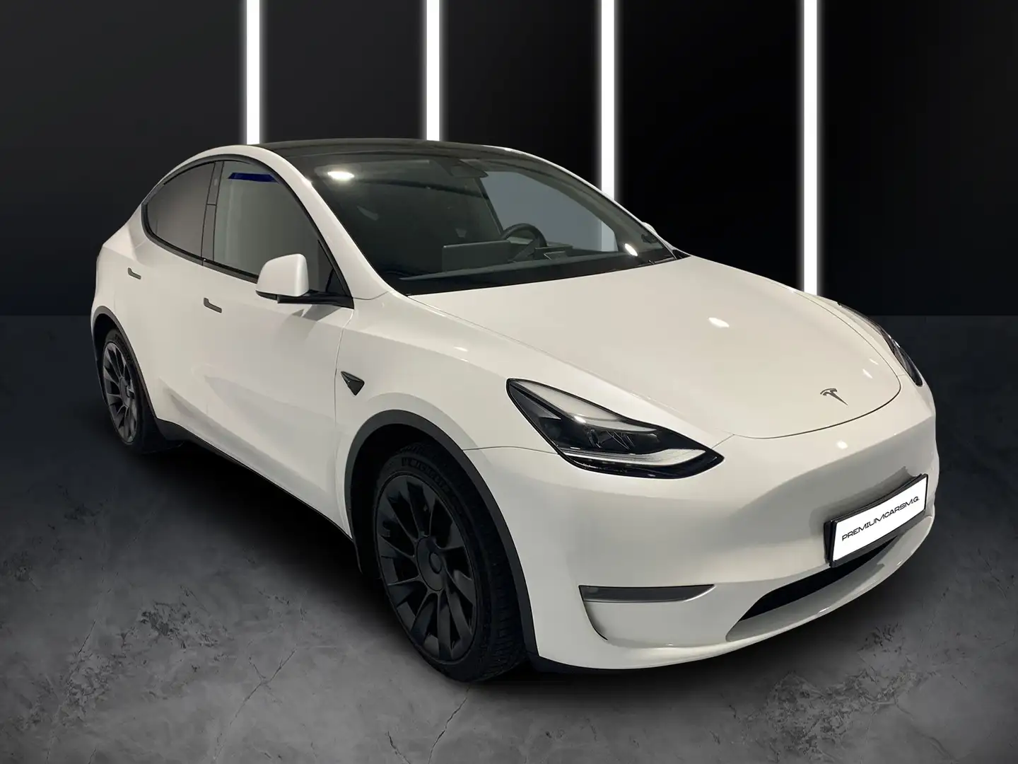 Tesla Model Y Long Range Dual AWD Blanc - 1