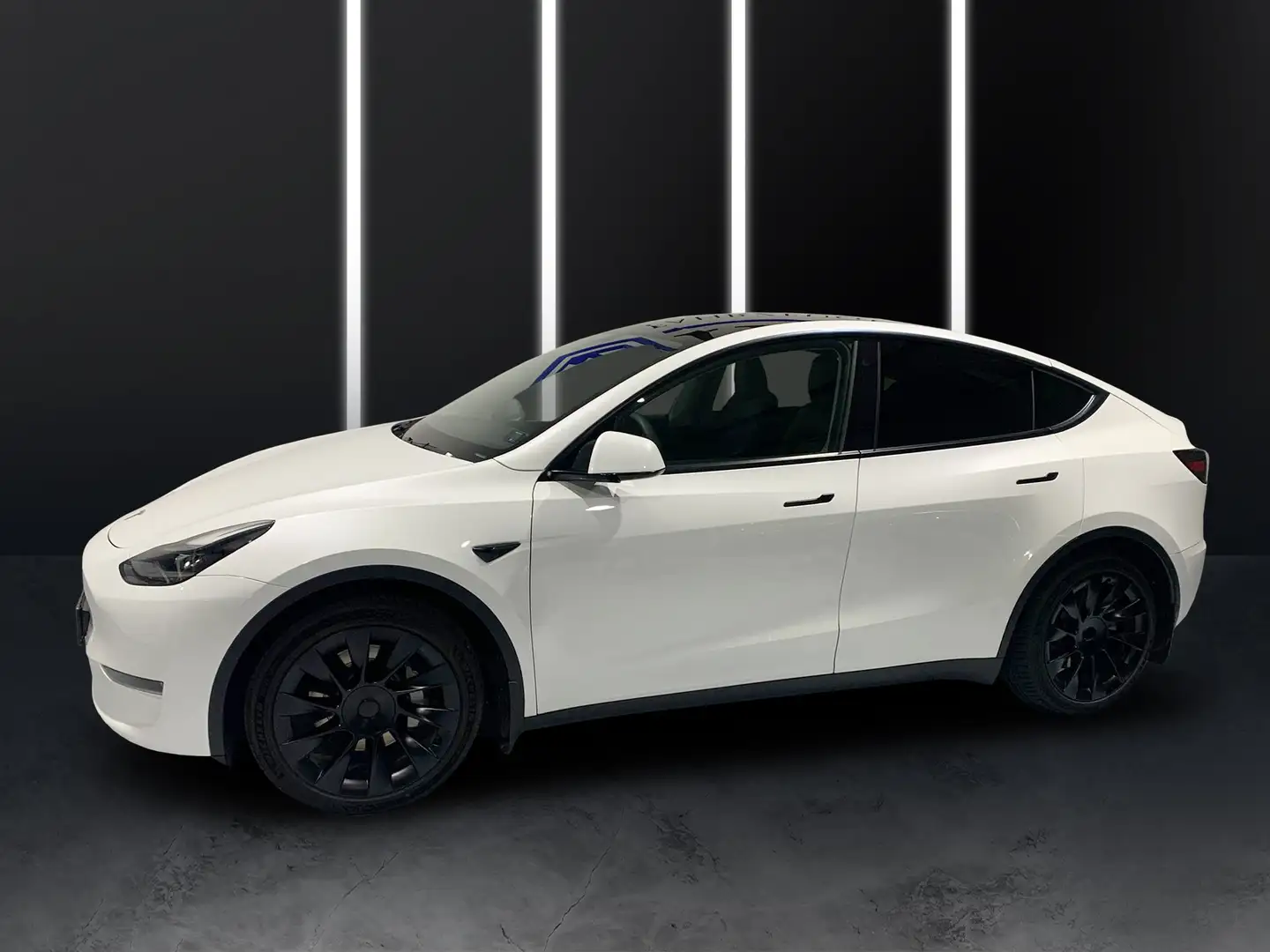 Tesla Model Y Long Range Dual AWD Blanc - 2