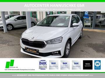 Fabia IV 1.0 TSI Selection 5J.GAR/SMART/SH/RFK/ALU