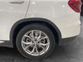 BMW X3 xDrive 20dA xLine Blanco - thumbnail 12