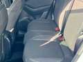 Ford Puma Titanium Automatik Fahrerassistenz-Paket II EcoBoo Blanco - thumbnail 12
