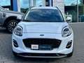 Ford Puma Titanium Automatik Fahrerassistenz-Paket II EcoBoo Blanco - thumbnail 19