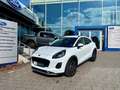 Ford Puma Titanium Automatik Fahrerassistenz-Paket II EcoBoo Blanco - thumbnail 2