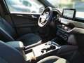 Ford Kuga 2,5 Duratec FHEV  ST-Line  Aut. Grau - thumbnail 11