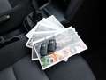 Skoda Octavia Lim. Team Edition - 1.6 - 1.Hand - Rosso - thumbnail 5